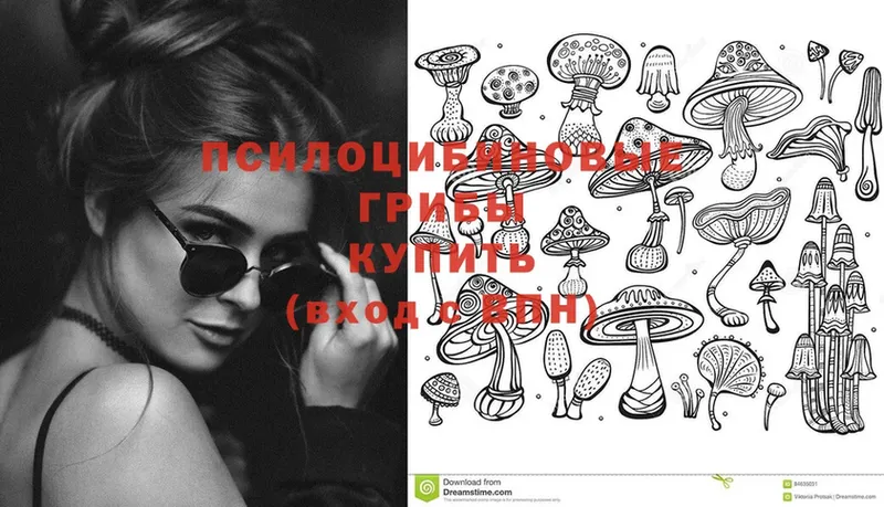 Галлюциногенные грибы Magic Shrooms  мега как войти  Джанкой  что такое  